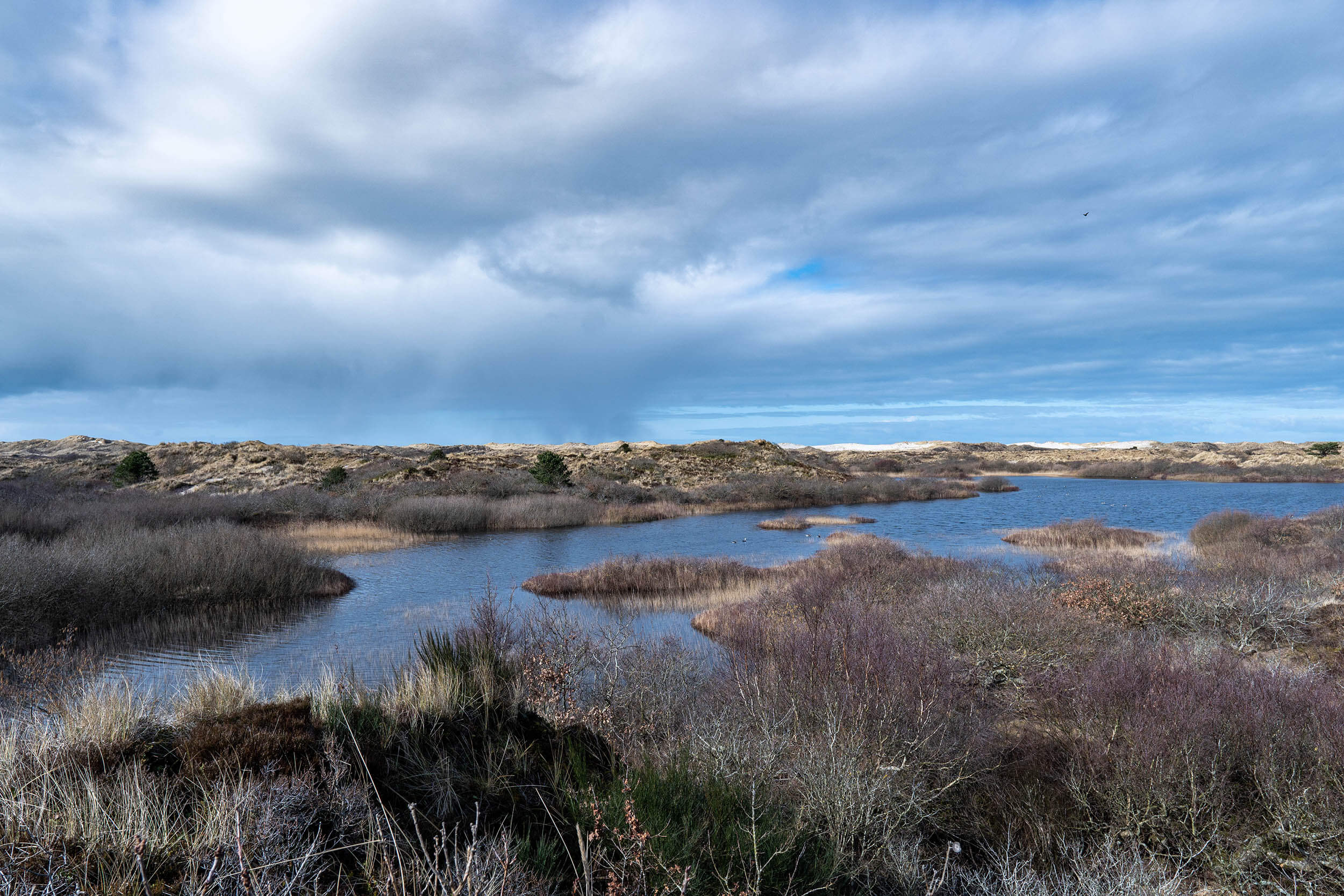 De Boswachter Op Terschelling Deelt De Mooiste Natuurlijkplekken