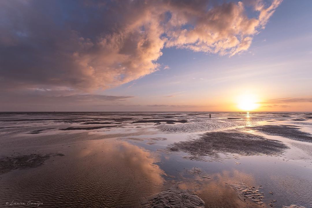 De mooiste natuurgebieden van Terschelling Terschelling